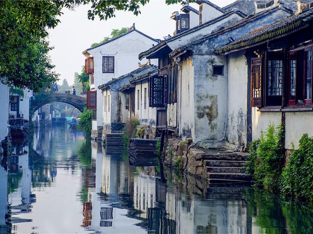 白毫银针属于什么茶？游戏画面